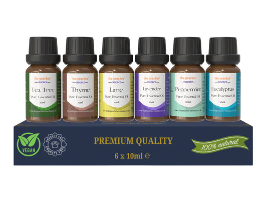 Pure Wellness Essential Oil Gift Set – 6 x 10ml | Lavender, Peppermint, Eucalyptus, Tea Tree, Thyme & Lime | 100% Pure Aromatherapy Oils